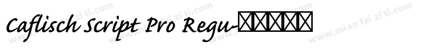 Caflisch Script Pro Regu字体转换